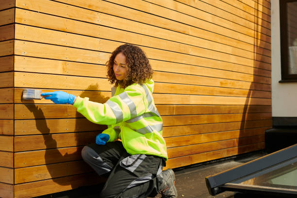 Best Composite Siding  in Princeton, MN